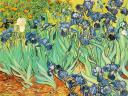 Vincent Van Gogh 08 1024x768