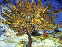 Vincent Van Gogh 14 1024x768