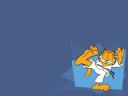 Garfield_1024x768.jpg