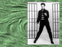 Elvis Presley 03 1024x768
