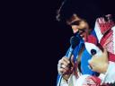 Elvis Presley 12 1200x900