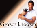 Georges Clooney 05 1024x768