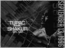 Tupac Shakur 07 1024x768