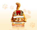 Garfield II 01 1280x1024