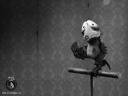 Mary and Max 01 1024x768