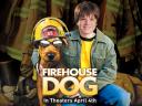 Rex chien pompier 03 1024x768