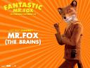 Fantastique Mr Fox 01 1024x768