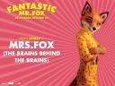 Fantastique Mr Fox 02 1024x768