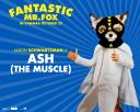 Fantastique Mr Fox 03 1280x1024