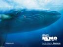 Le Monde De Nemo 03 1024x768