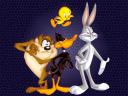 Bugs Bunny - Daffy Duck - Titi - Taz 1024x768