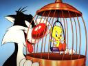 Looney Tunes 09 1024x768