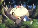 Mon Voisin Totoro 01 1024x768