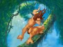 Tarzan_02_1024x768.jpg