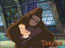 Tarzan_08_1024x768.jpg