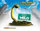 The Wild 06 1280x1024