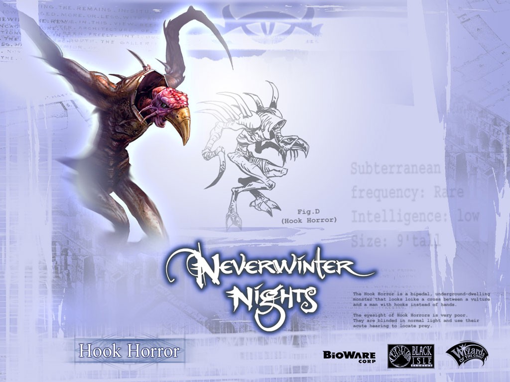 Neverwinter_Nights_13_1024x768.jpg