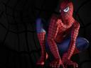 Spiderman_04_1024x768.jpg