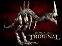 The Elder Scrolls III Tribunal 02 1024x768