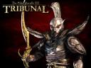 The Elder Scrolls III Tribunal 04 1024x768
