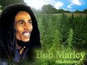 Bob Marley 03 1024x768