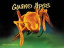 Guano Apes 02 1024x768