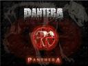 Pantera 01 1024x768