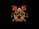 Pantera 10 1024x768