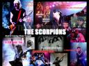 Scorpions 06 1024x768