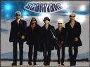 Scorpions_08_1024x768.jpg