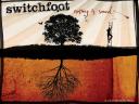 Switchfoot 03 1024x768