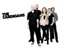 The Cardigans 10 1280x960