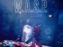 WASP 06 1024x768