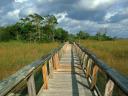 Pont_de_bois_en_Floride_1600x1200.jpg