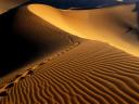 Desert_de_Namibie_07_-_Afrique_1600x1200.jpg