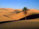 Desert_du_Sahara_01_1600x1200.jpg