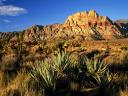 Red_Rock_Canyon_-_Nevada_1600x1200.jpg