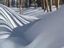 Arbres dans la neige 1600x1200