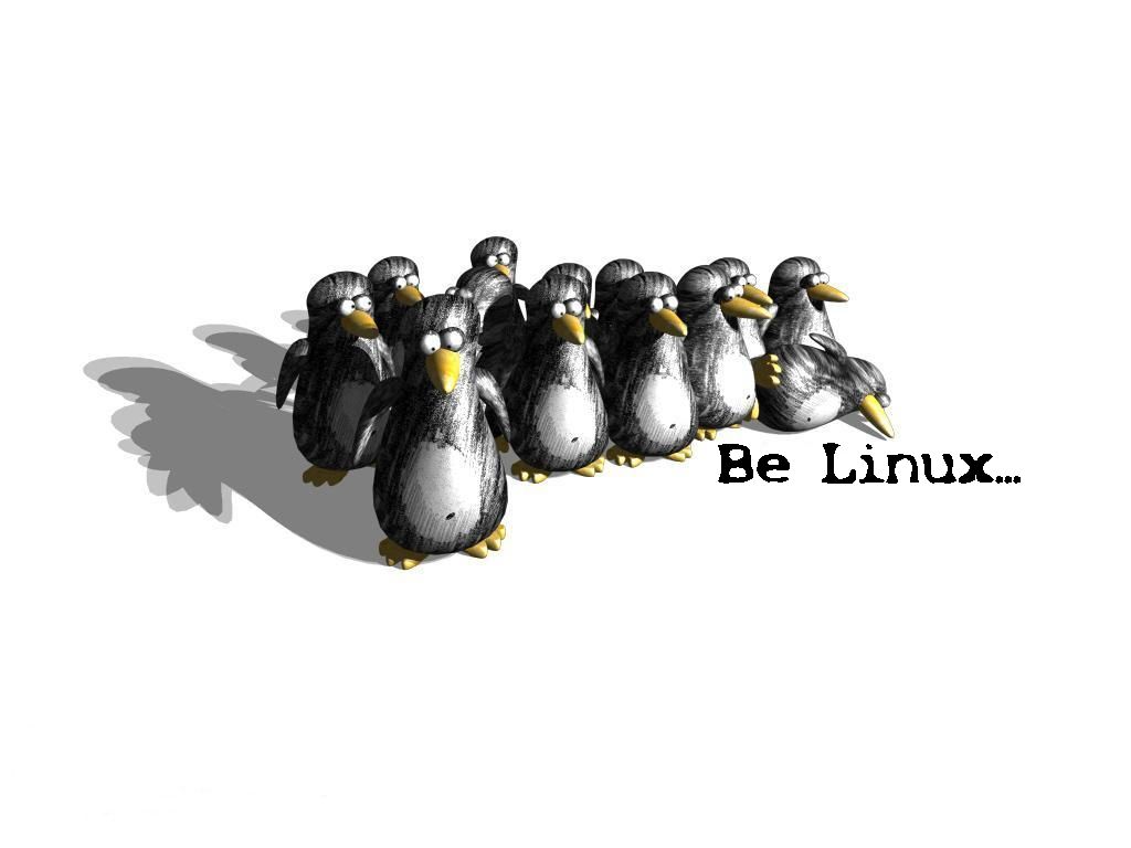 Linux_07_1024x768.jpg