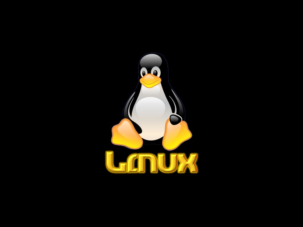 Linux_35_1024x768.jpg