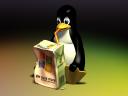 Linux 22 1024x768