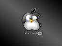 Linux 26 1024x768