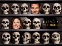 Bones 16 1024x768