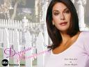 Desperate Housewives 01 1024x768