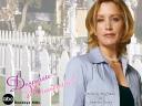 Desperate Housewives 07 1024x768