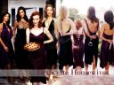 Desperate Housewives 16 1024x768