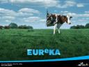 Eureka 02 1024x768