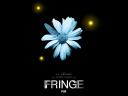 Fringe 03 1600x1200