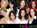 The L Word 10 1024x768