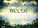 Weeds 01 1024x768